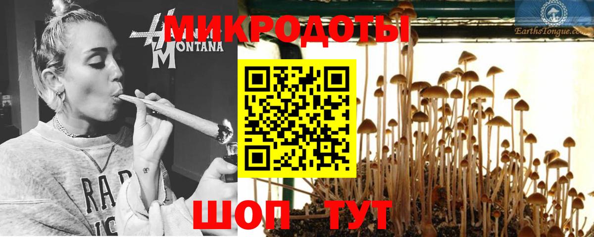 Алексеевка  Псилоцибиновые грибы GOLDEN TEACHER  Вход с VPN 